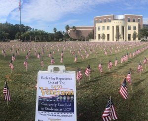 small American flags staked all across memory mall in honor of flag day